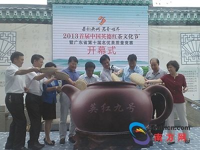 首届中国英德红茶文化节启动仪式 温智雄摄